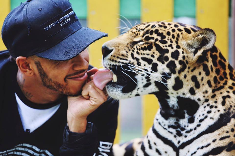 Fotó: Facebook (Lewis Hamilton)