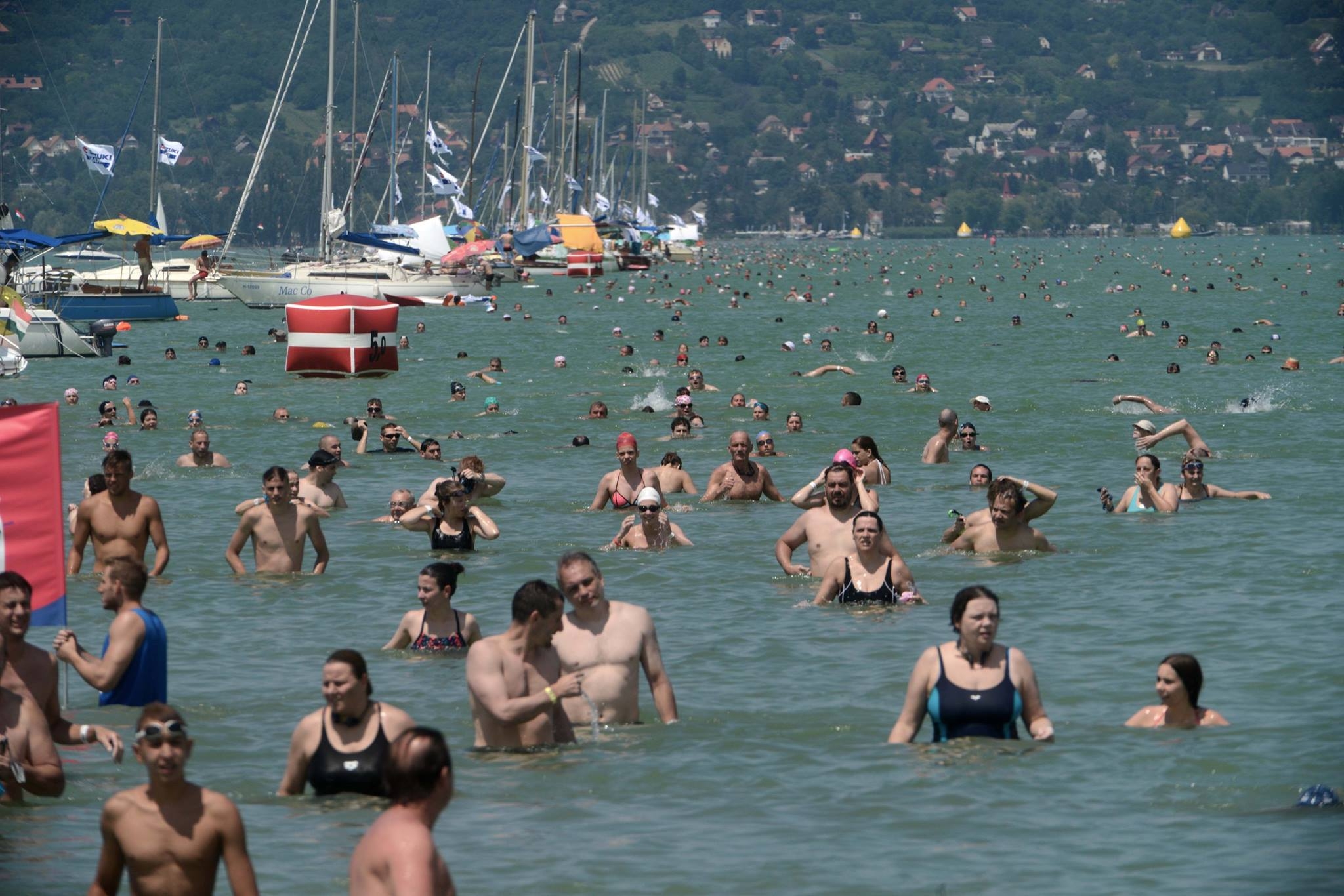 Fotó: Facebook (Balaton-átúszás)