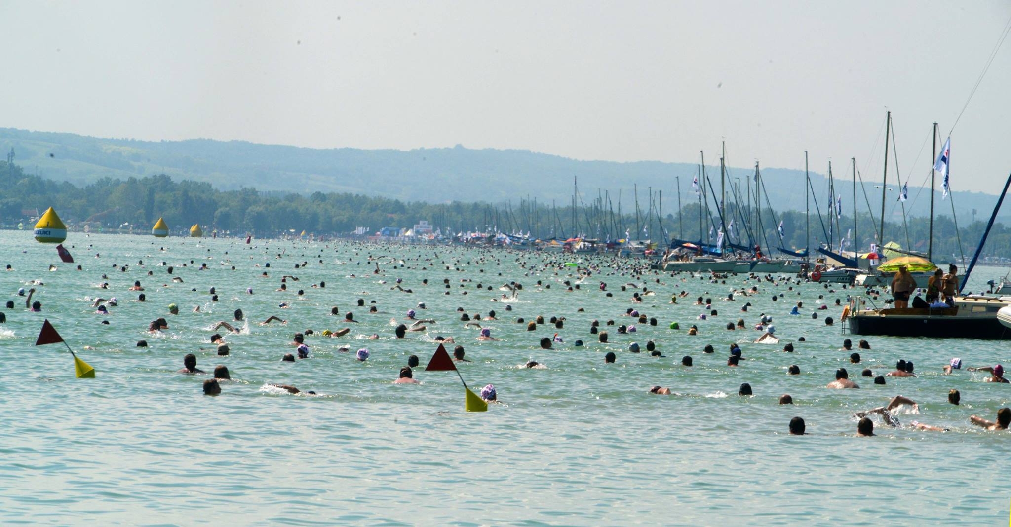 Fotó: Facebook (Balaton-átúszás)
