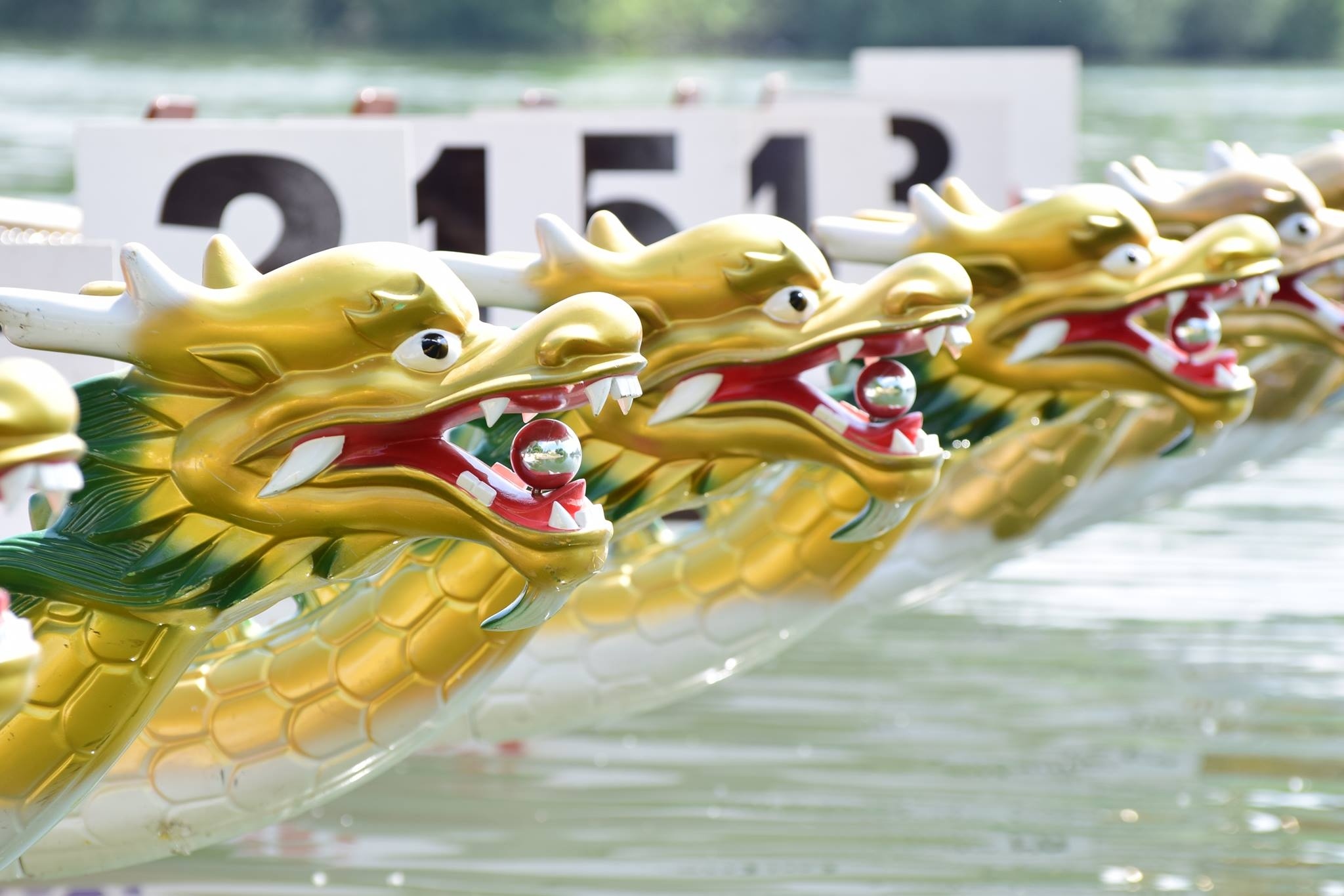 Fotó: Facebook (Magyar Sárkányhajó Szövetség / Hungarian Dragon Boat Federation)
