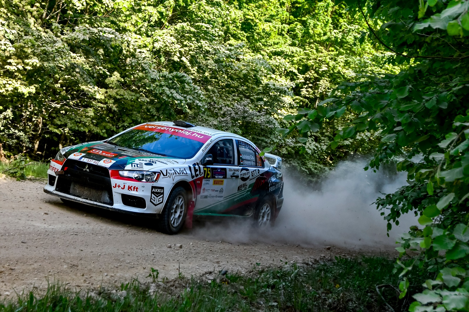 juhasz velezdi erc 20