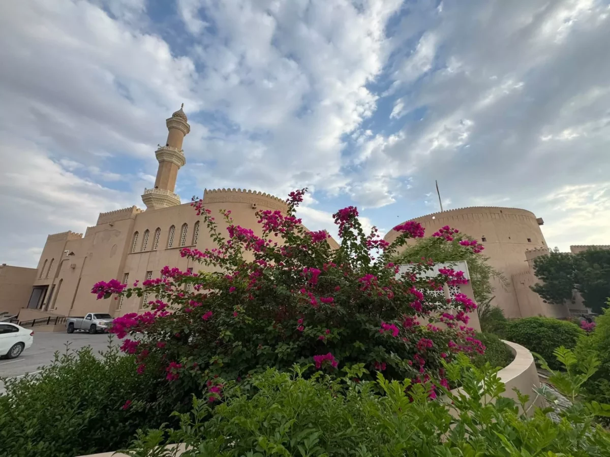 Virágzó bugenvillea és a nizwai mecset minaretje, Omán