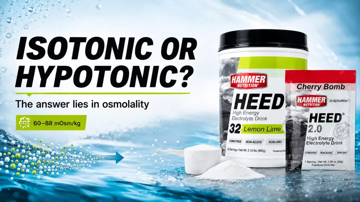 HEED hipotóniás elektrolitos sportital a Hammer Nutritiontól